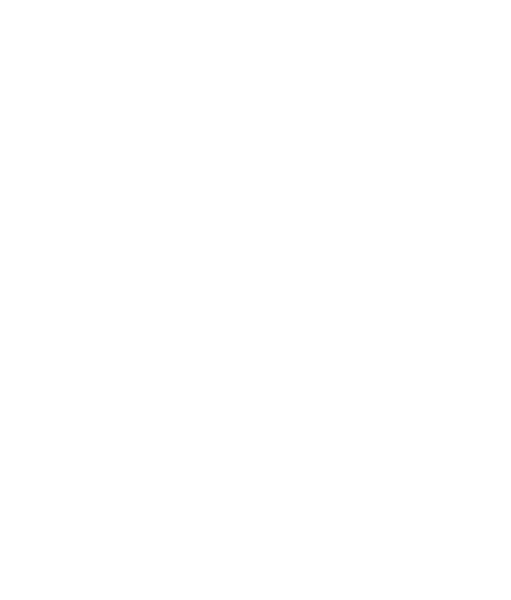 Ciro Gallotti — L'Arte del Gioiello